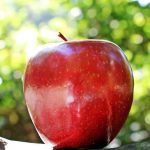 dieta jabłkowa